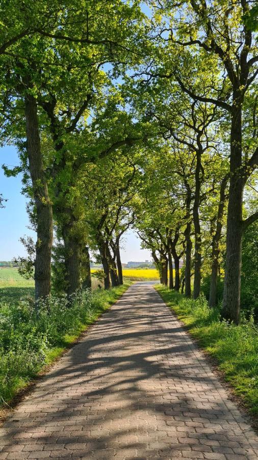 Ferienwohnung Baltrum Auf Dem Elisenhof Hagermarsch Экстерьер фото